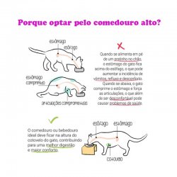 CAIXA com 12 Comedouros Alto Duplo para Gatos em Inox Preto GAS-1794